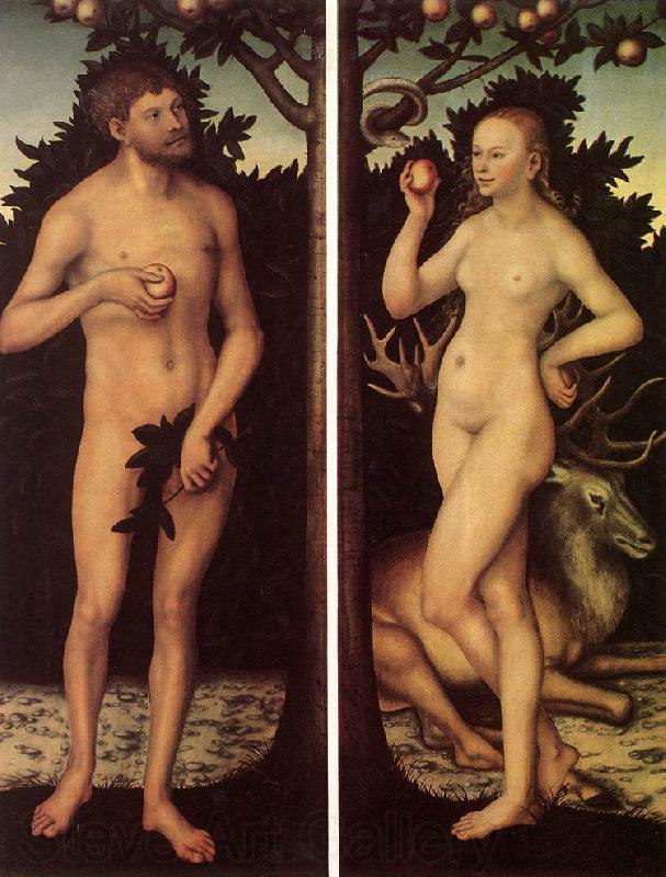CRANACH, Lucas the Elder Adam and Eve 03 Germany oil painting art